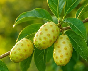 NONI