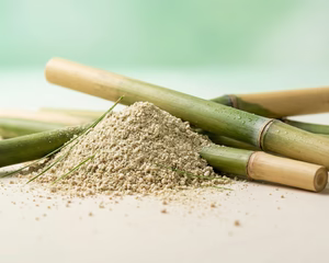 BAMBOO