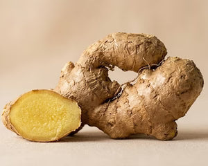 GINGER