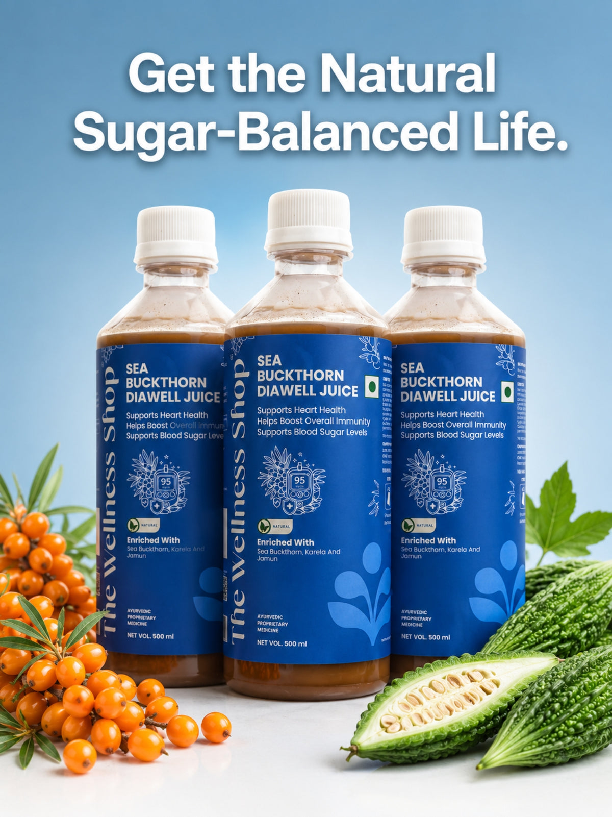 Sea Buckthorn DiaWell Juice