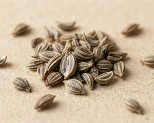 AJWAIN EXTRACT
