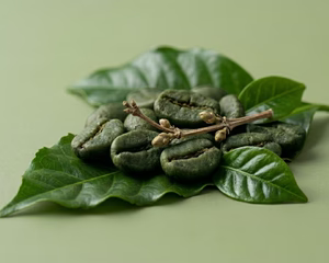 GREEN COFFEE EXTRACT