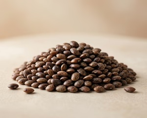 HORSE GRAM