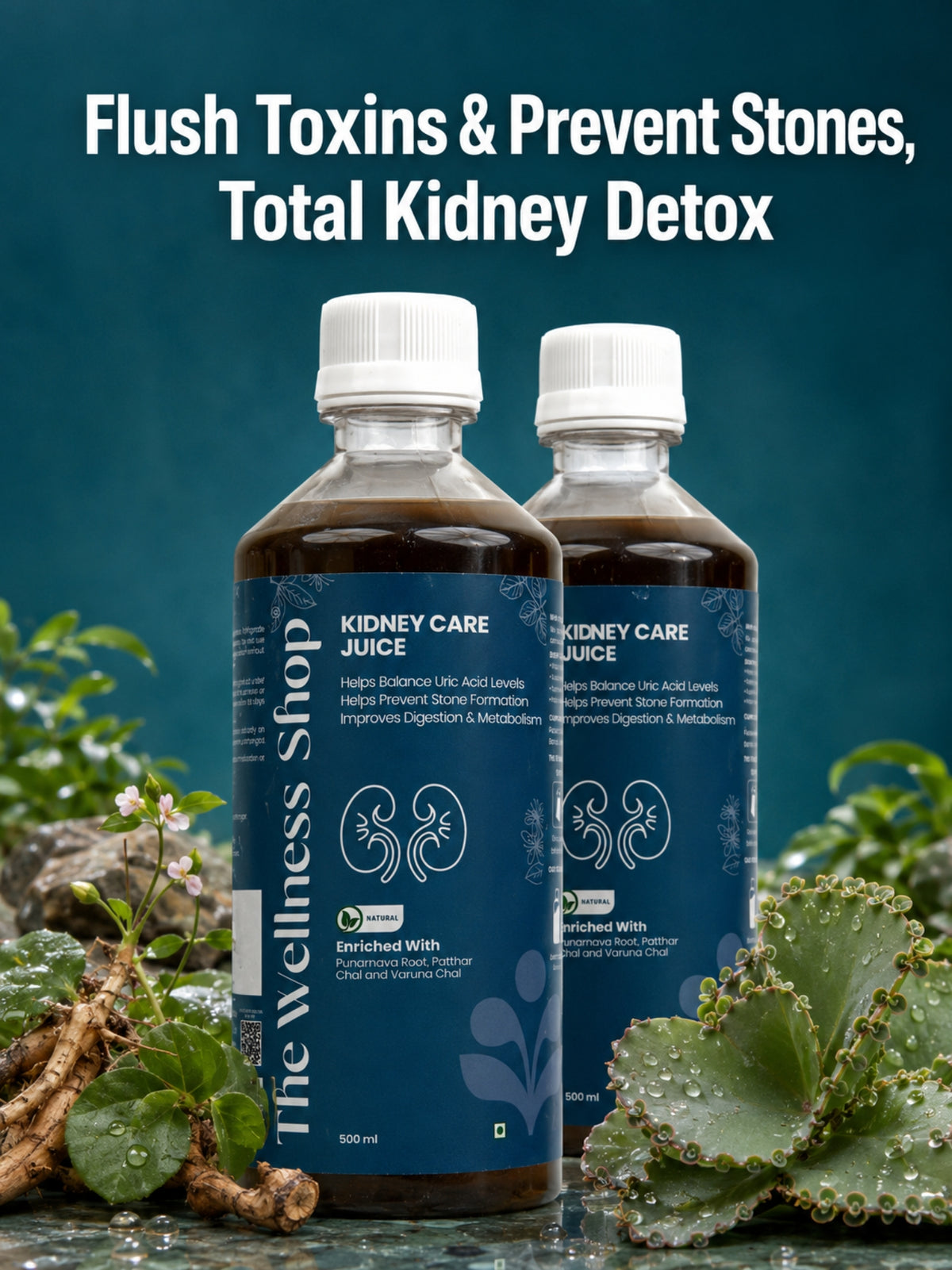 Kidney Care Juice