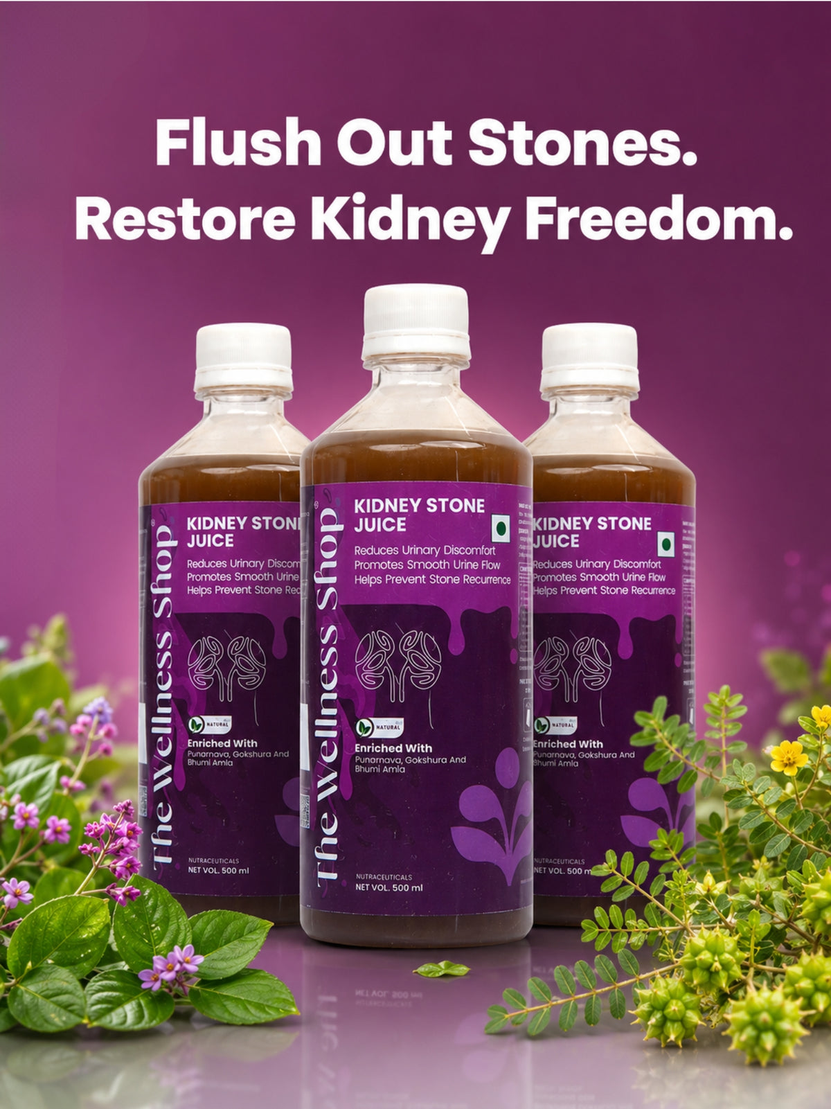 Kidney Stone Juice — Ayurvedic Formula for Stone Relief, Kidney Detox & Pain-Free Urination